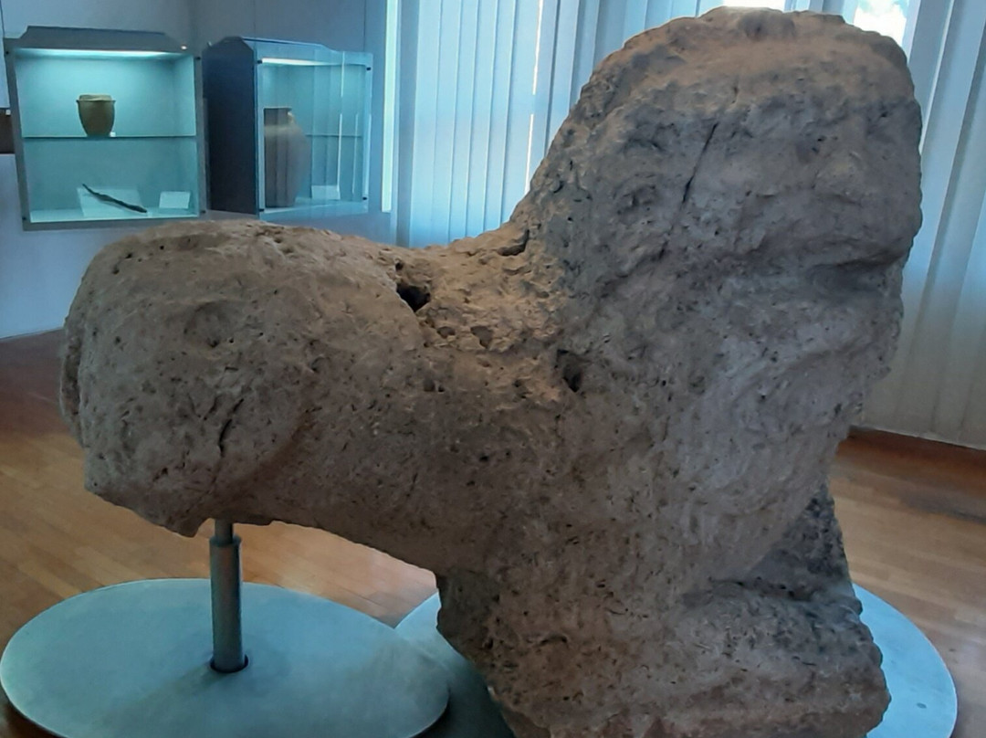 Museo Archeologico di Atina e della Valle di Comino-Atina必去景点