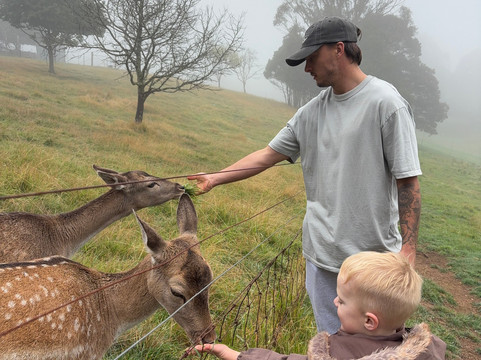 Kenzell Farm-Oberon必去景点