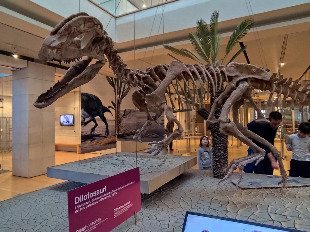 MUSE - Science Museum-特伦托必去景点