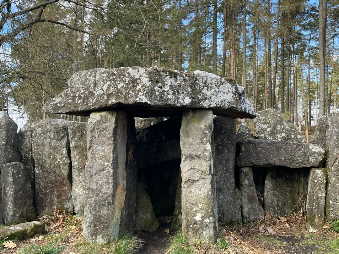 Druids Temple-里彭必去景点