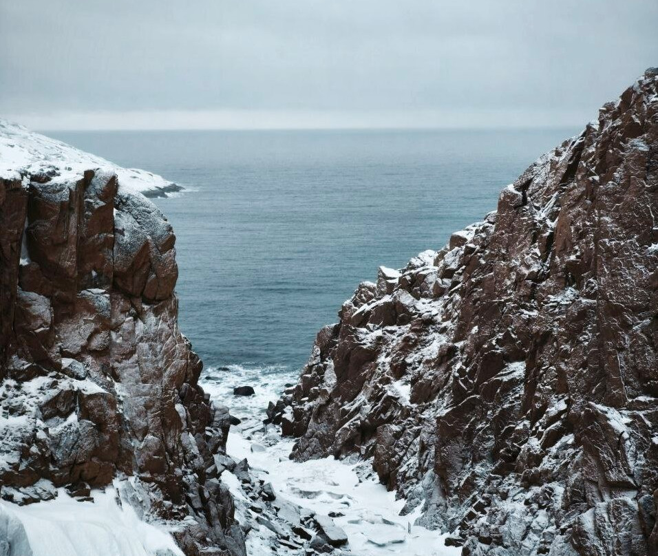 Arctic Safari-摩尔曼斯克必去景点