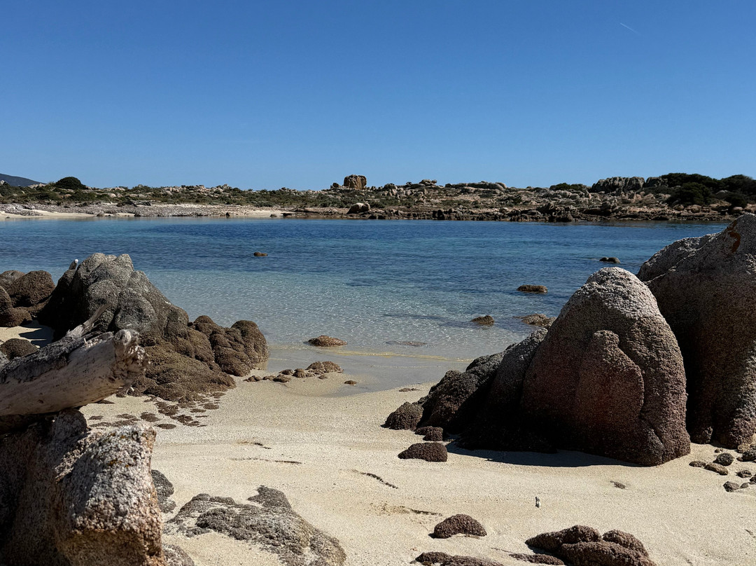 Futurismo - Escursioni Asinara-斯廷蒂诺必去景点