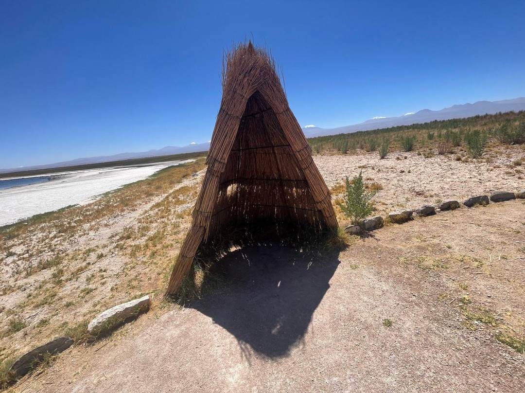 Laguna Cejar-圣佩德罗-德阿塔卡马必去景点