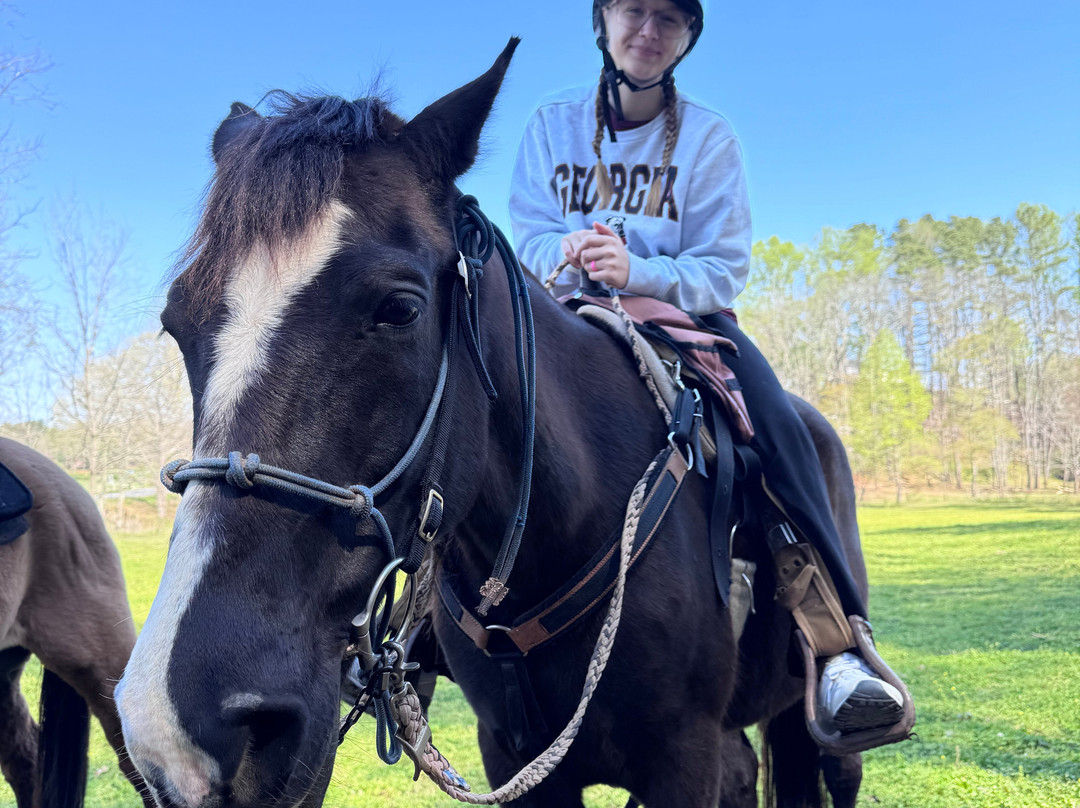 Cowgirl Up Stables-Cherry Log必去景点