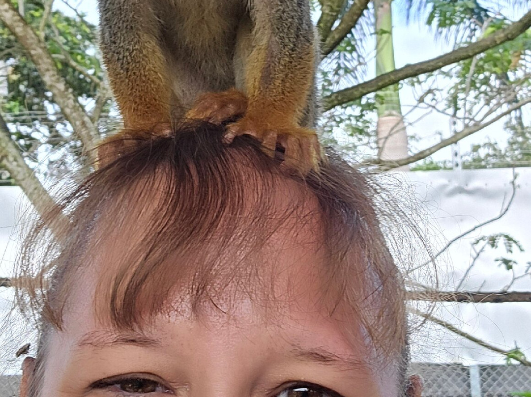 Monkey Home Puerto Plata-普拉塔港必去景点