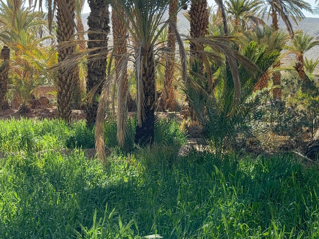 Sahara With Locals-马拉喀什必去景点