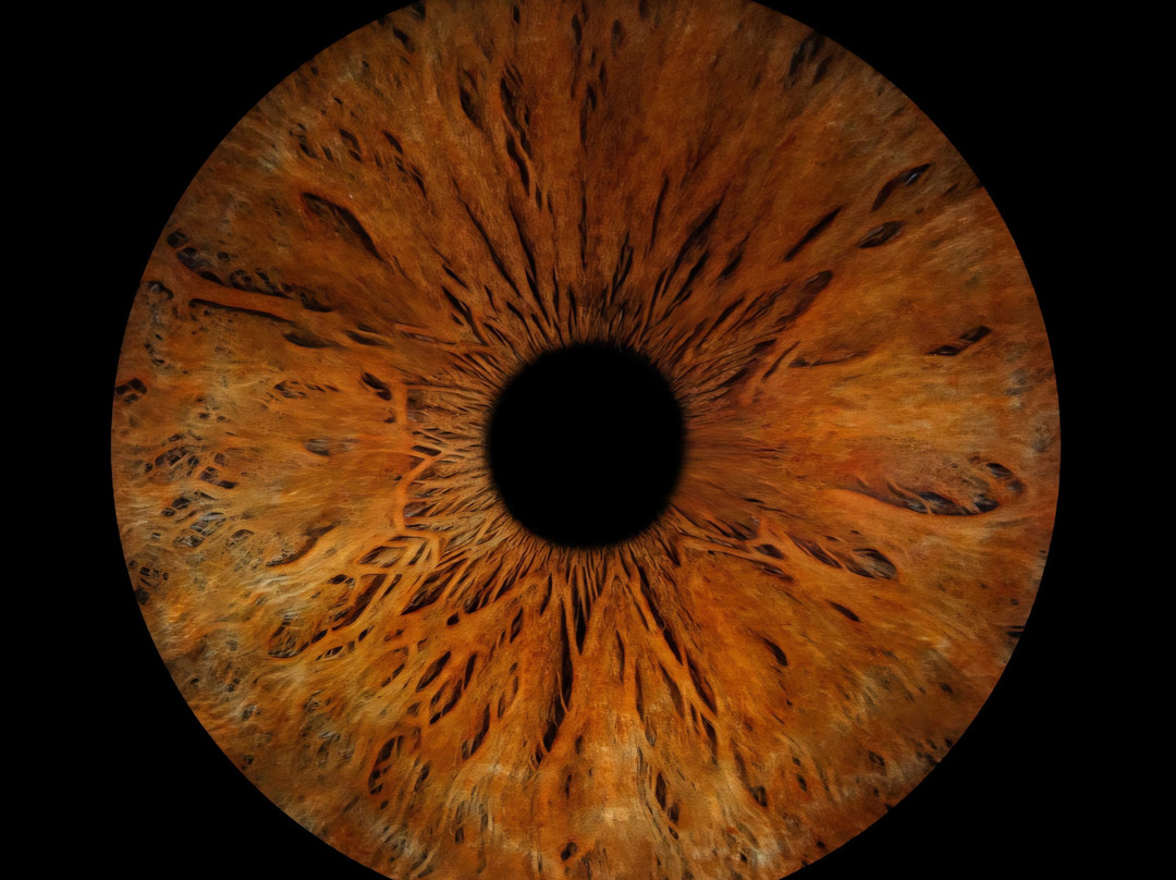 Iris Galerie Sluis-斯勒伊斯必去景点