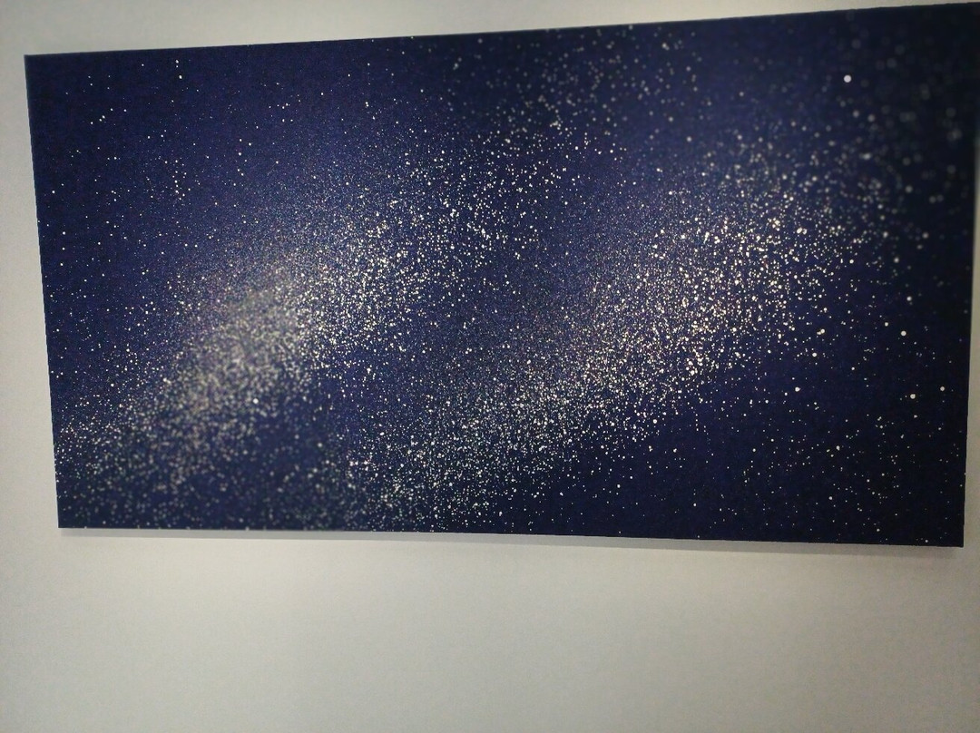 Stedelijk Museum Schiedam-Schiedam必去景点