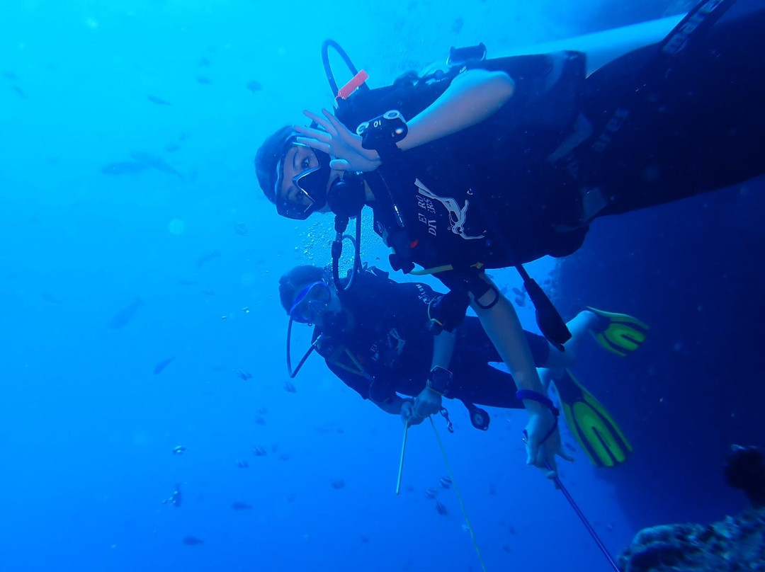 Euro-Divers LUX South Ari Atoll-南阿里环礁必去景点