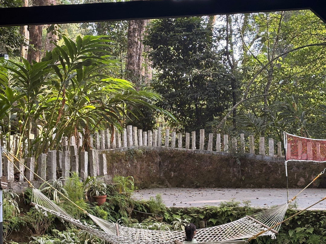 蒙纳大树酒店主图