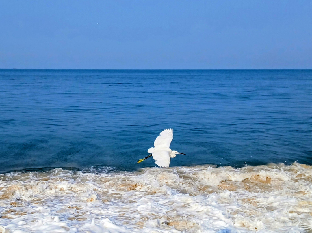 阿姆丽塔海滩交响乐酒店主图