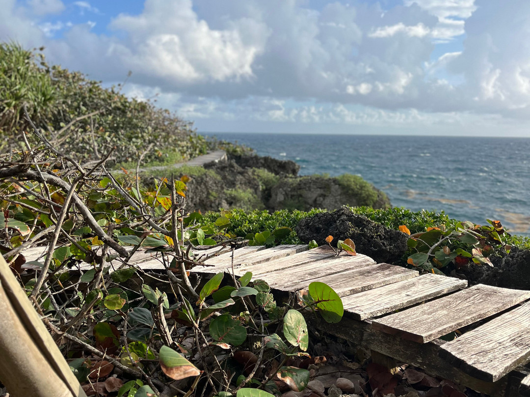 美妙木屋旅馆主图