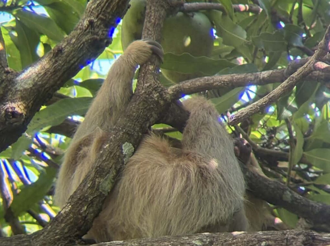 Uvita Information Center-乌维塔必去景点