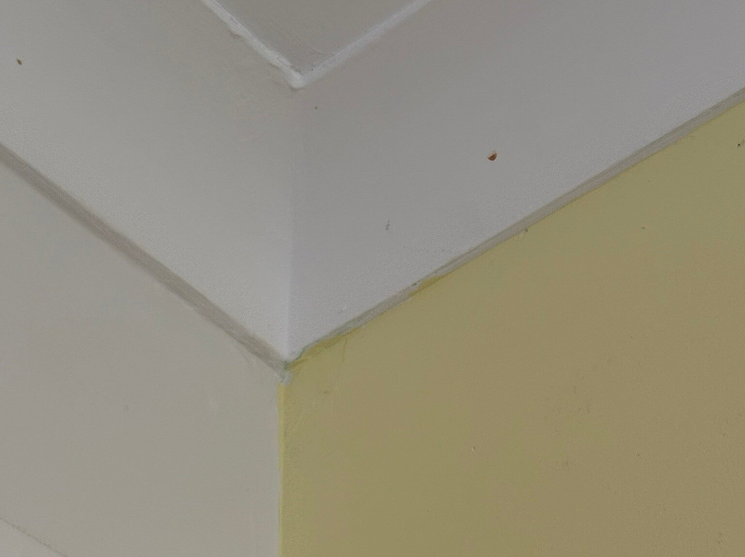 Butlin's Skegness Resort主图