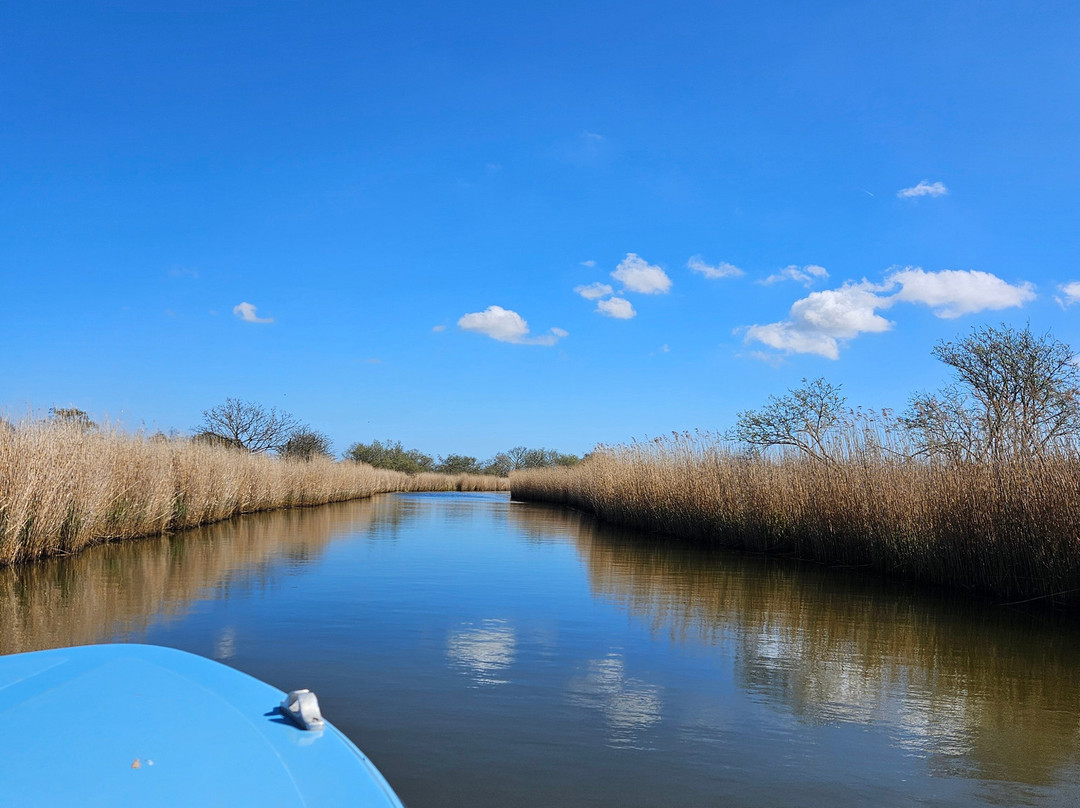 Martham Ferry Day Boat Hire-Martham必去景点