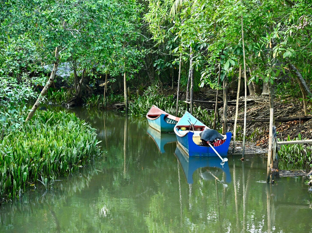 Go Travel Phuket-普吉岛必去景点