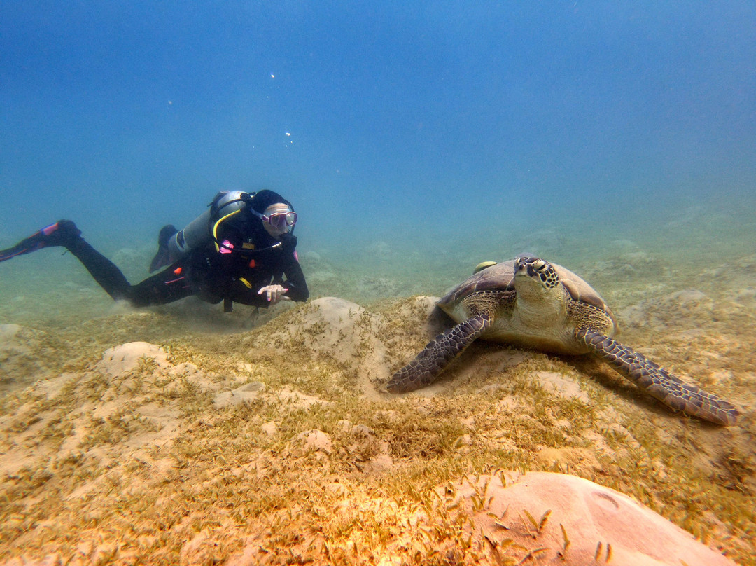 Coraya Divers Coraya Bay-马萨阿拉姆必去景点