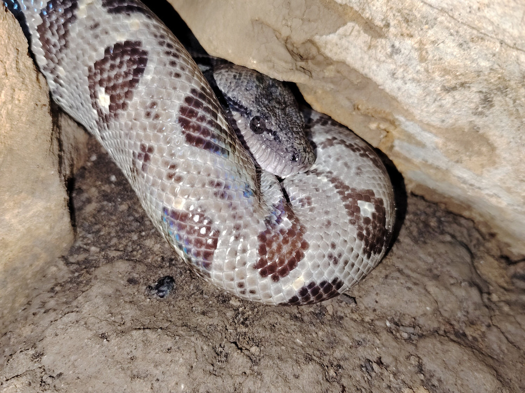 Madagascar Visite Company-安塔那那利佛必去景点