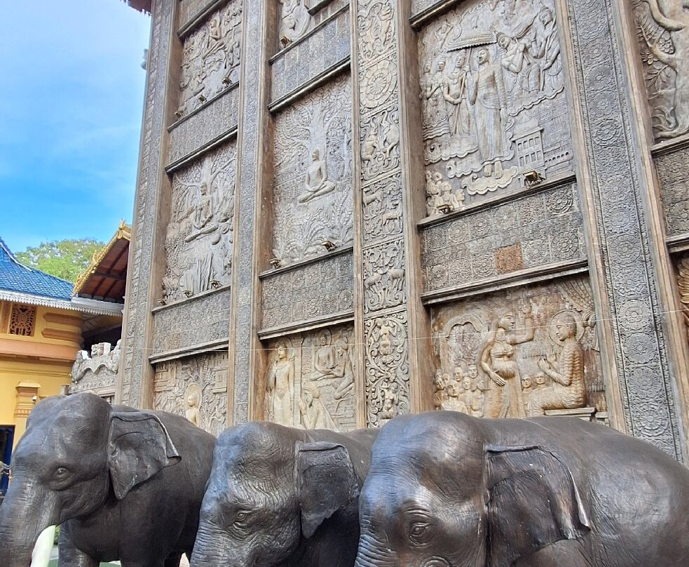 Tuk Tuk Safari Colombo-科伦坡必去景点