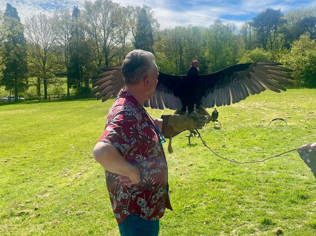 Surrey Hills Falconry-Ockley必去景点