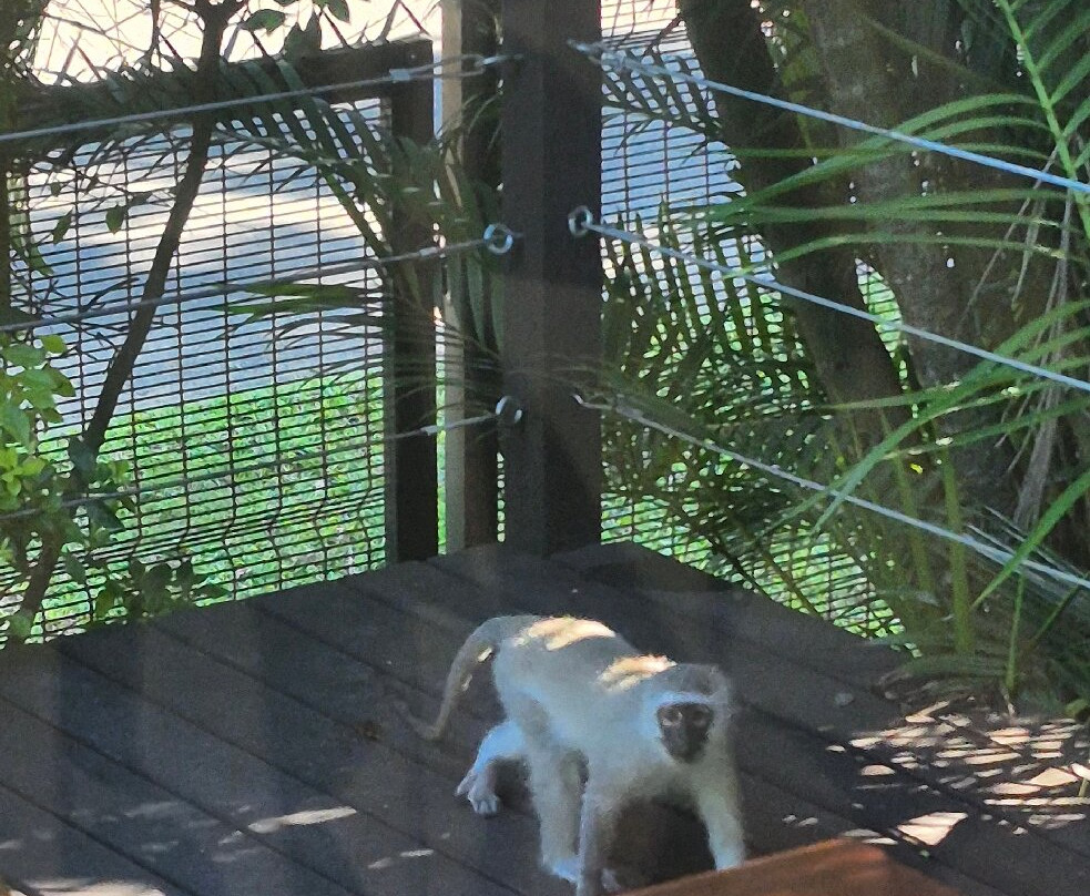 豹角旅馆主图