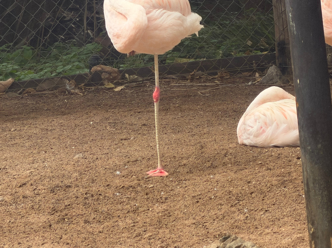 Park Las Aquilas Jungle Park-阿罗纳必去景点