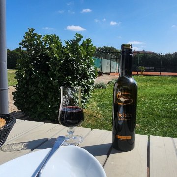 博得斯多夫运动酒店-旅行者