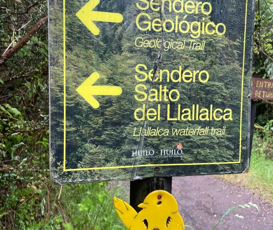 Huilo Huilo Reserva Biológica-Los Rios Region必去景点