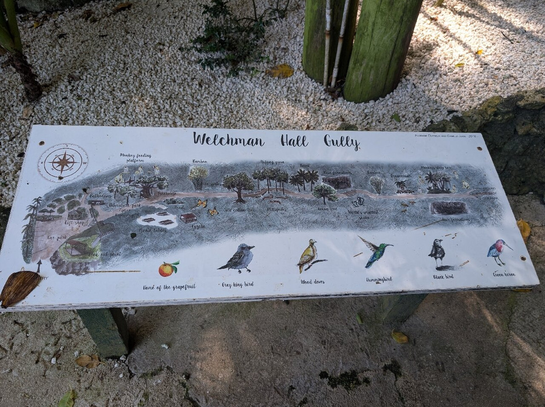 Welchman Hall Gully-Saint Thomas Parish必去景点