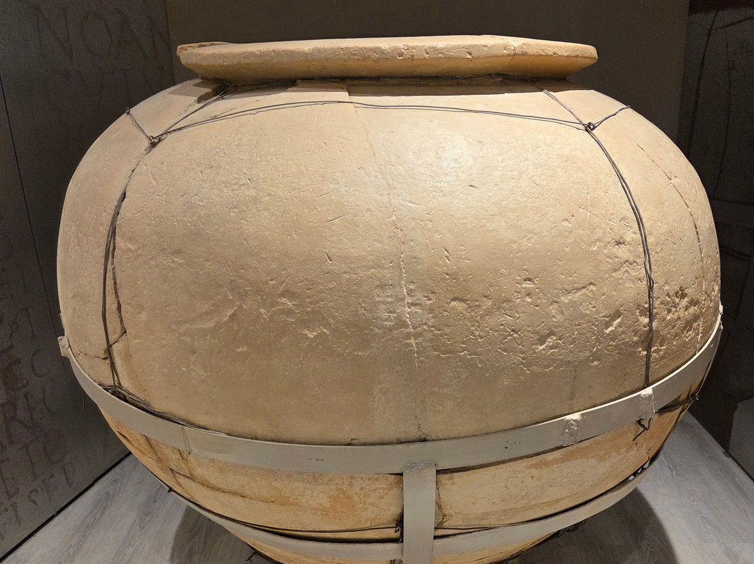 Museo del Mare-圣贝内代托-德尔特龙托必去景点