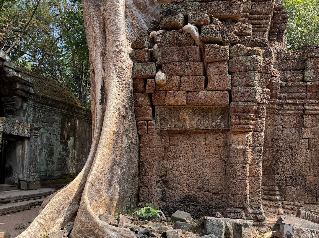 Get Cambodia Guide-Svay Dangkum必去景点