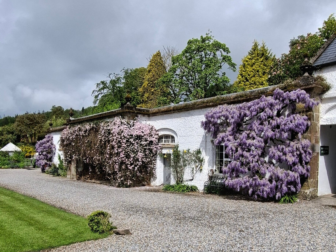Cappoquin House Gardens-Cappoquin必去景点