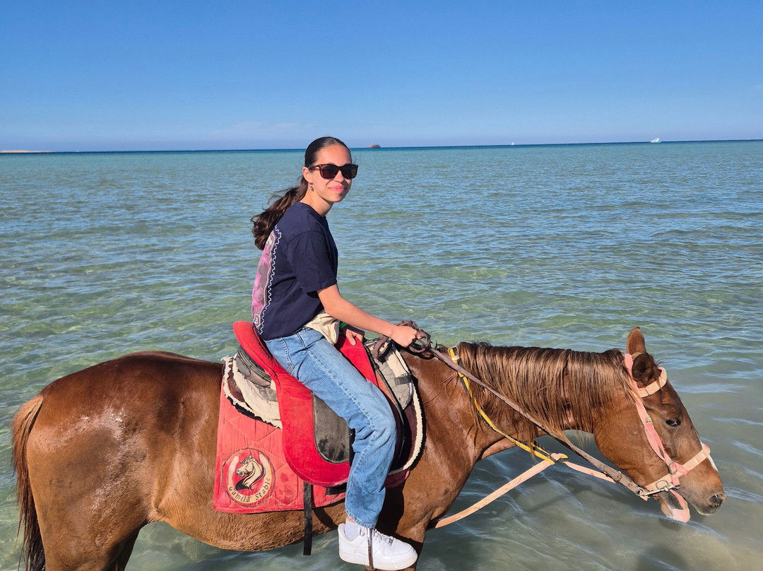 Gamila Stable Club Horse and Camel Riding-马卡迪湾必去景点