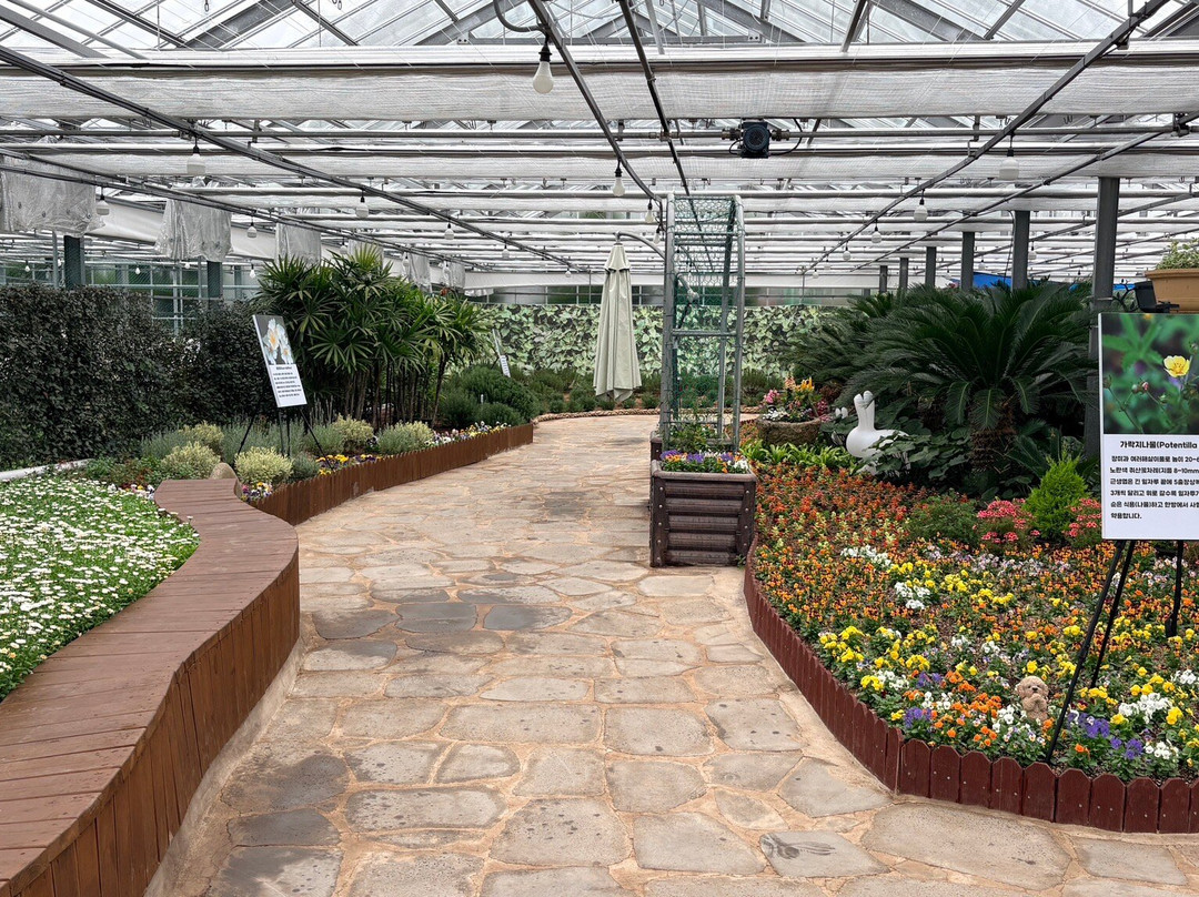 Geoje Botanic Garden Jungle Dome-巨济市必去景点