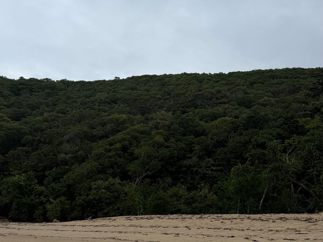 Hamilton Island Offroad Adventures-汉密尔顿岛必去景点