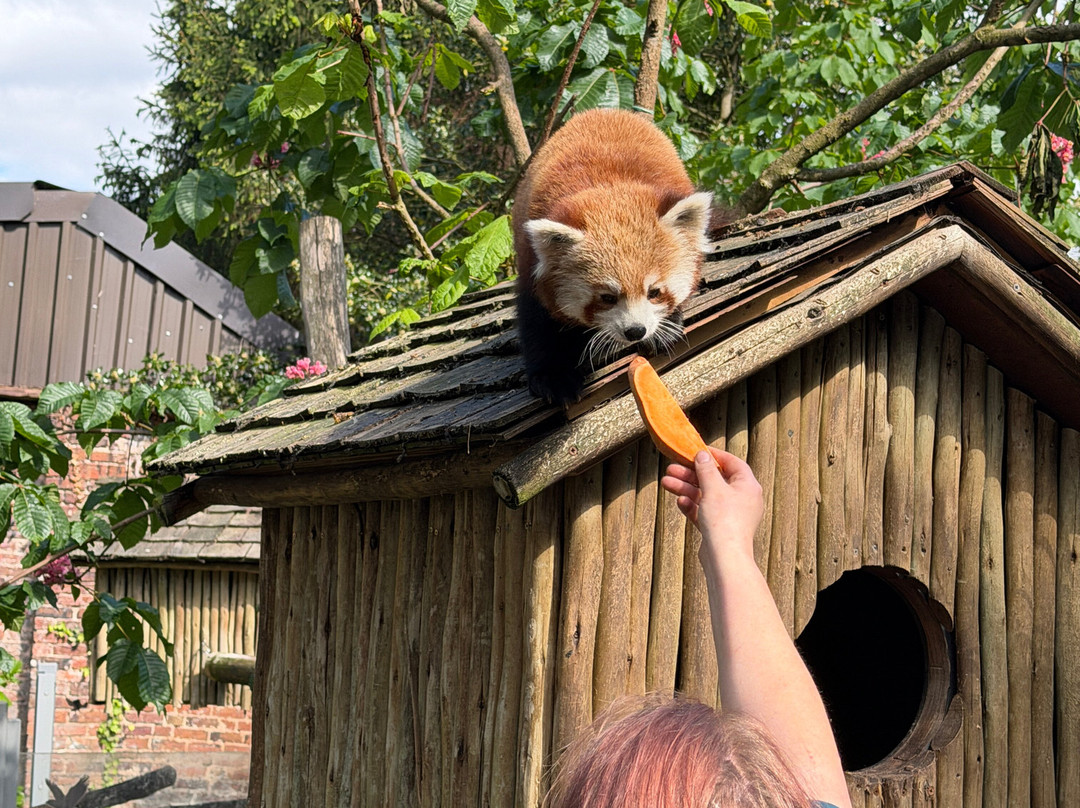 Safari Lodges At West Midlands Safari Park主图