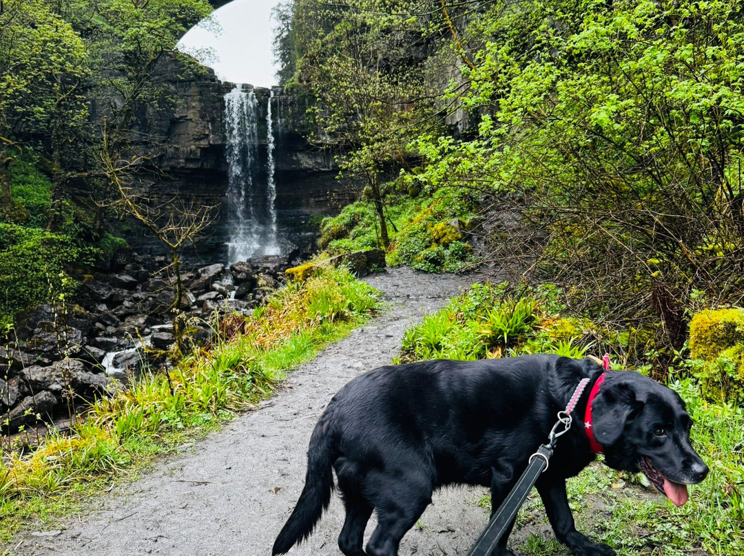 Garrigill Ashgill Force-Garrigill必去景点
