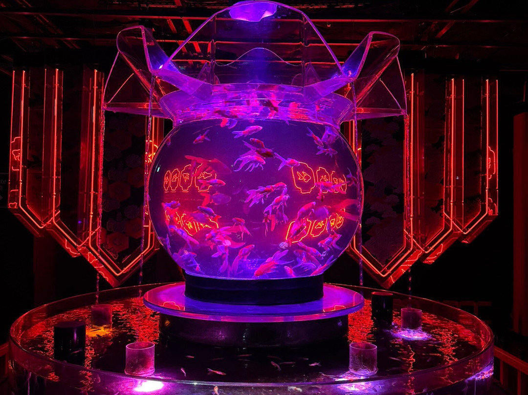 Art Aquarium-Ginza必去景点