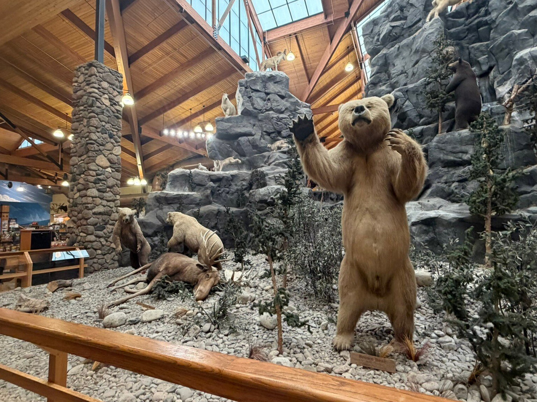 Cabela's-Hamburg必去景点