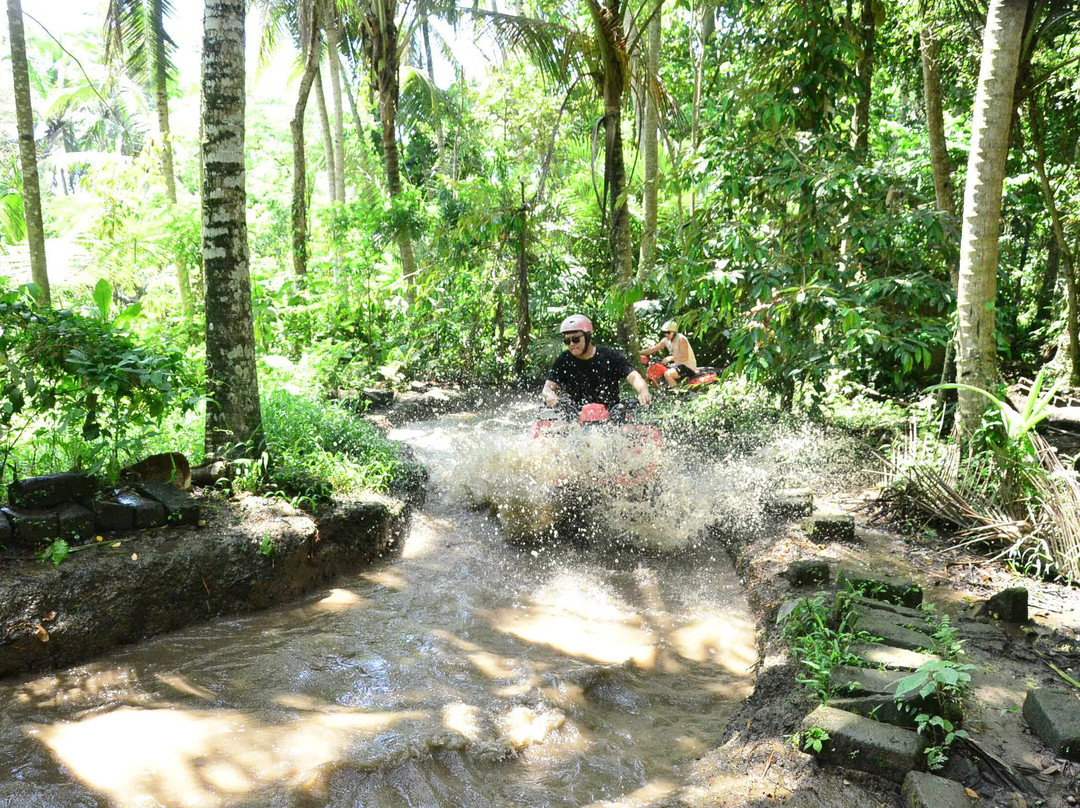 Edy Bali Tours-乌布必去景点