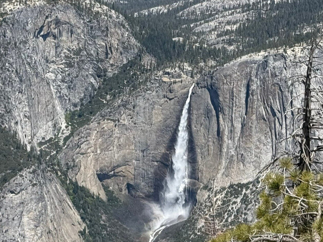 Yosemite West High Sierra Bed and Breakfast主图