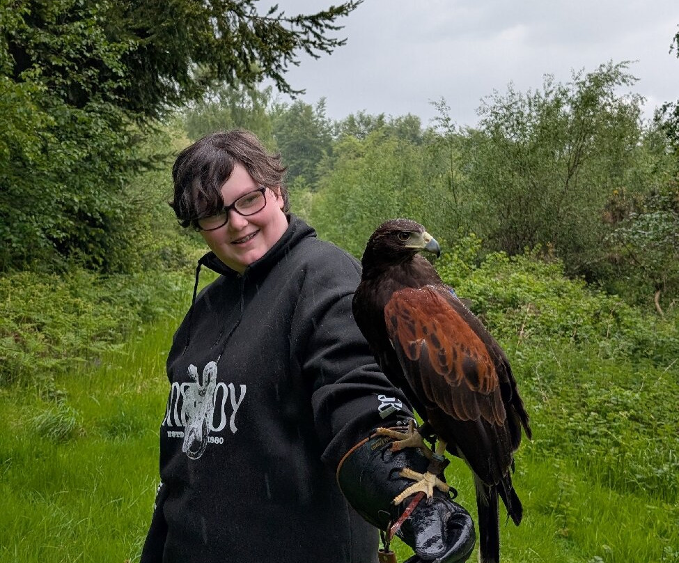 Hampshire Hawk Walks-Four Marks必去景点
