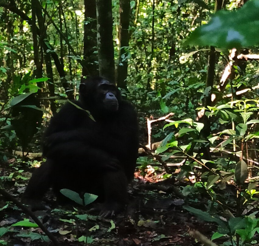 ENCHANTED UGANDA SAFARIS-Fort Portal必去景点