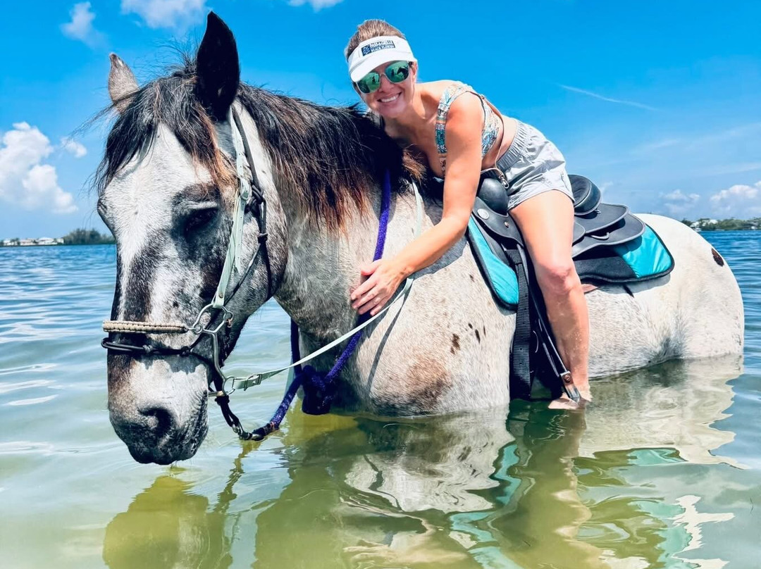 Florida Beach Horses-布雷登顿必去景点