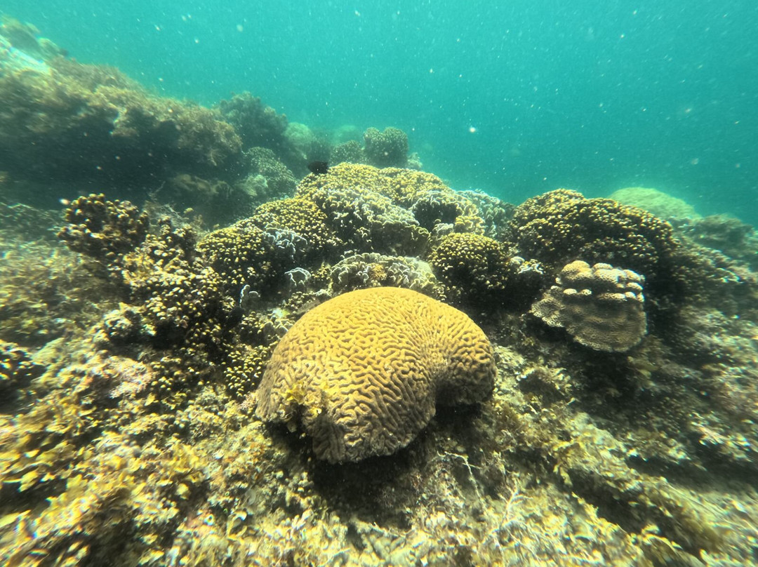 Batam Snorkeling Tour-Tembesi必去景点