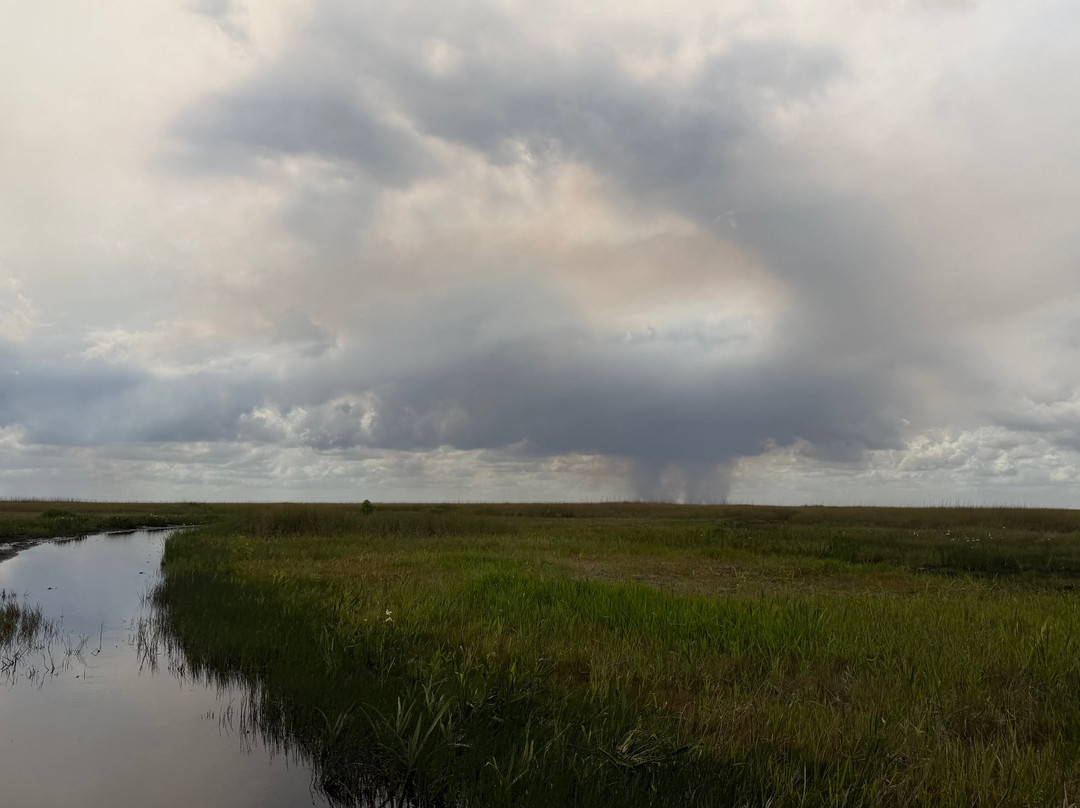Everglades Swamp Tours-Everglades Wildlife Management Area必去景点