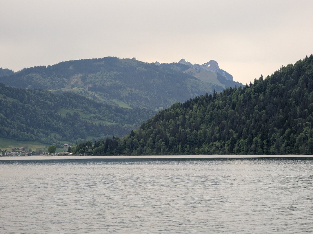 Zugersee Schiffahrt-楚格必去景点