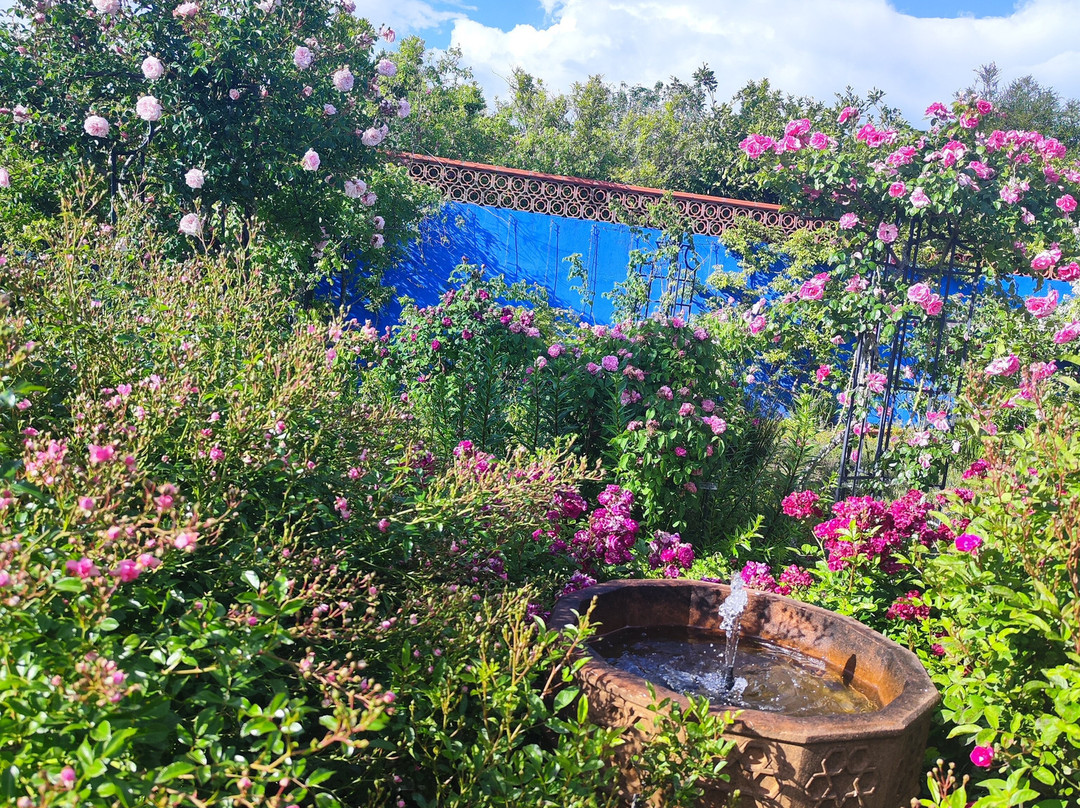 Les Jardins de la Quinta das Mil Flores-Pedrogao Grande必去景点