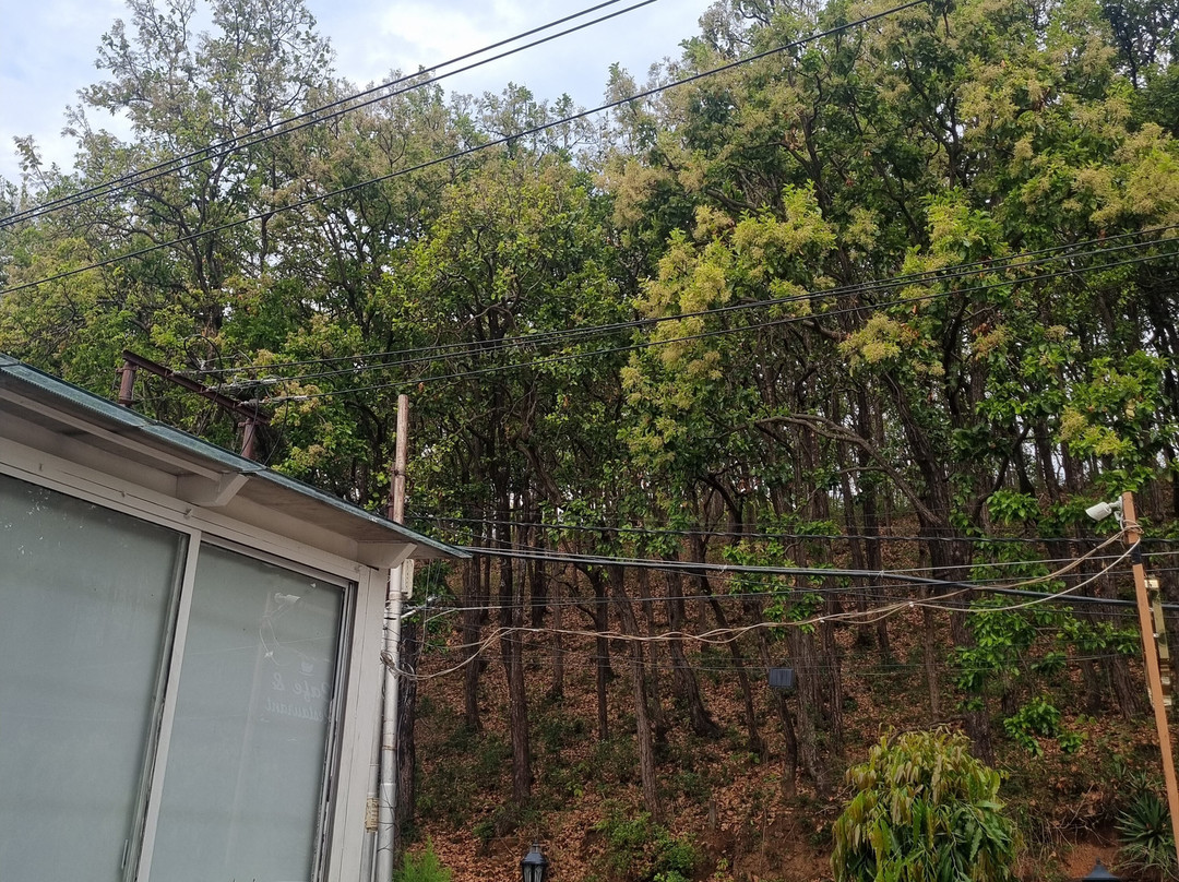 拉杰布特高地酒店主图