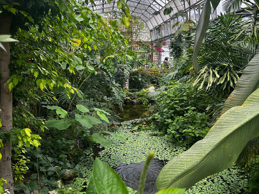 The London Butterfly Gardens-贝克斯利希斯必去景点